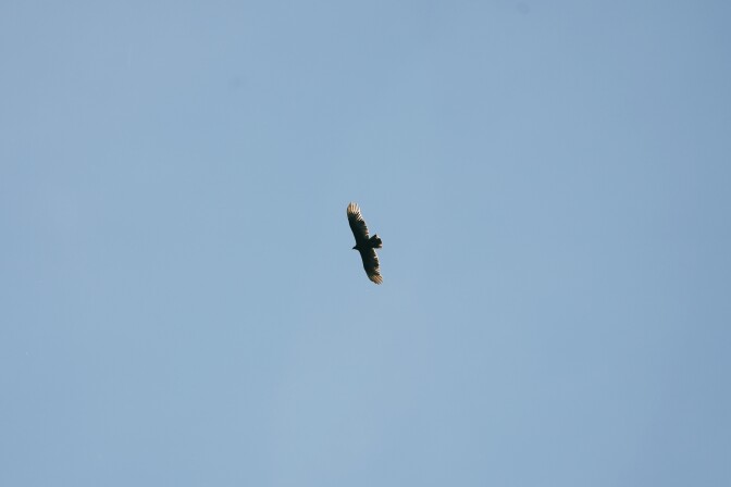 So long, and good luck on the journey.