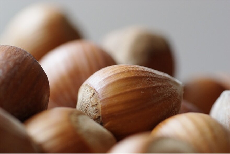 hazelnuts-recall.jpg