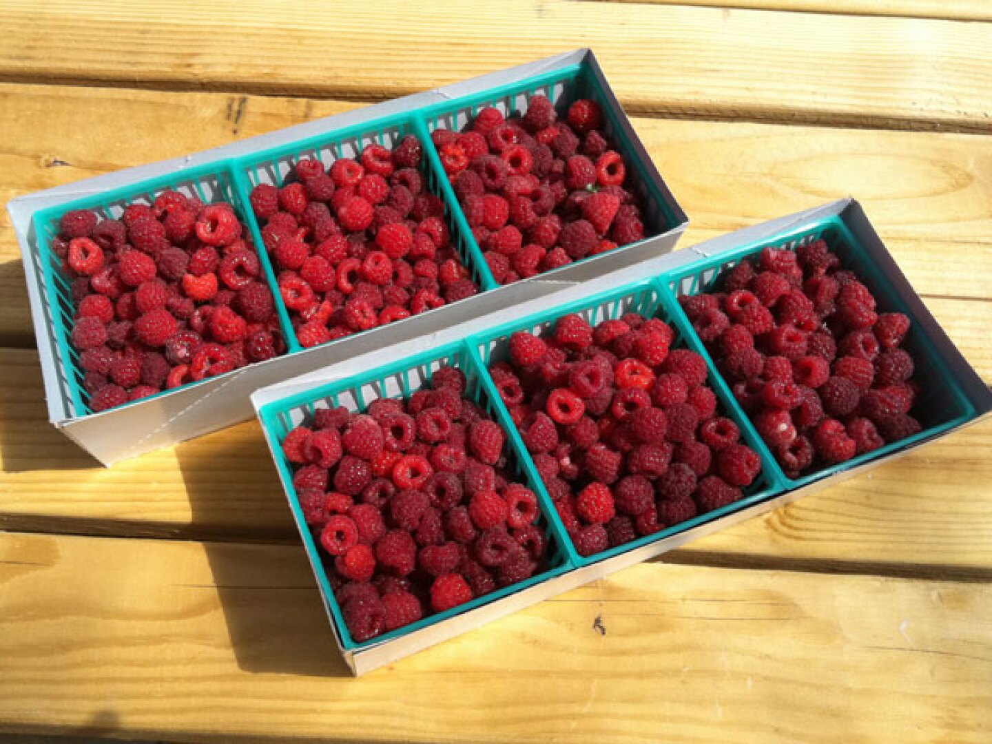 hp_raspberries.jpg