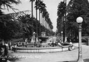 Black and white photo of a large circular fountain in a park, surrounded by vintage street lights with white, round orb lamps that sit atop graceful slim poles with some intricate designs toward the top. There is a row of tall palm trees in the distance.