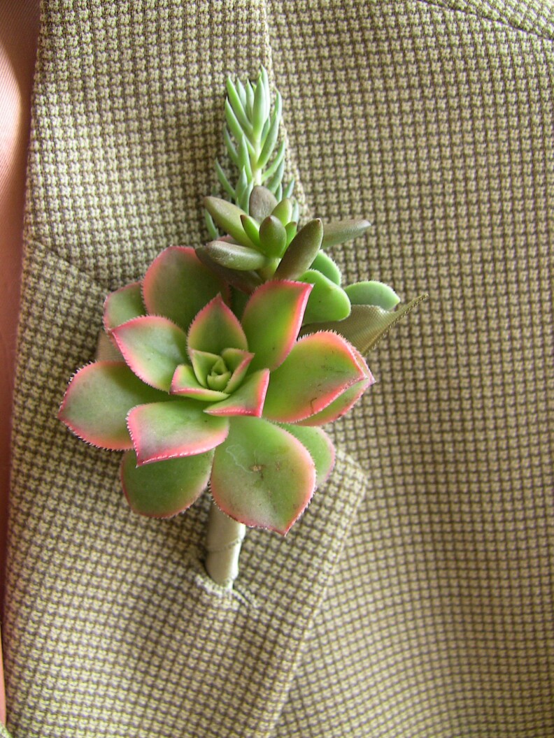 A boutonniere from Succulently Urban, the San Diego-based business created by Marialuisa Kaprielian.