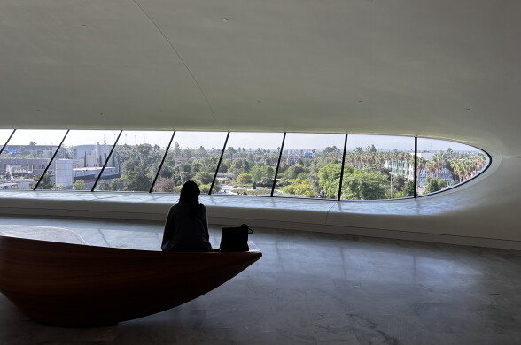 A person sits silhouetted on a wooden bench, gazing through a curved glass wall overlooking treetops and city buildings.