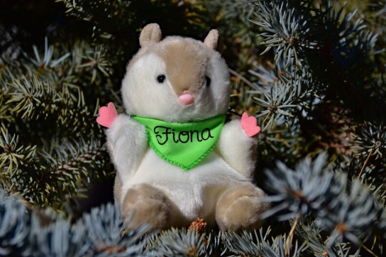 A plush doll wearing a bandana that says, "Fiona"