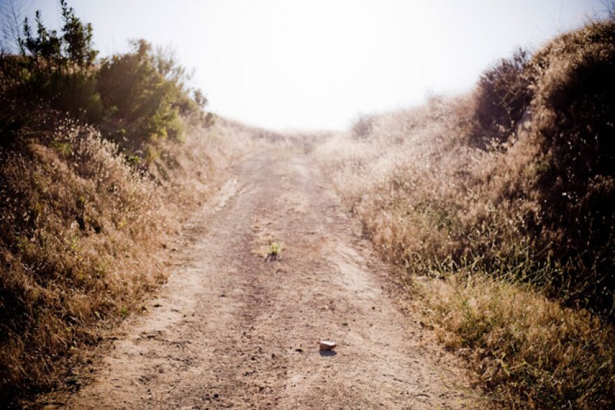 getout_sun11710.jpg