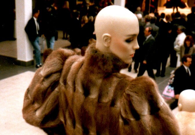 A mannequin wears a muskrat fur coat.