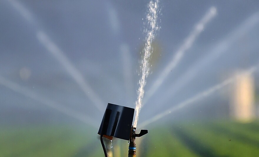 File photo taken March 29, 2015 shows a field being watered in Kern County.