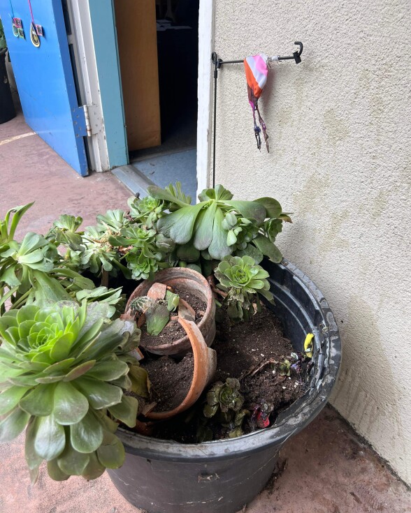a view of a large planting pot on the ground with smaller pots broken inside. Above it hangs a small triangle or burned Pride flag fabric near an open door.