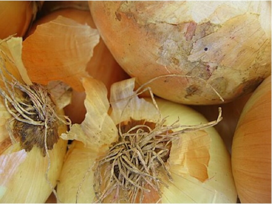 onions-freeway.jpg