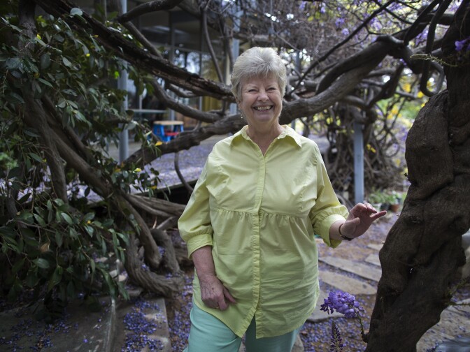 Homeowner Nel Solt and her husband bought the house 41 years ago. The Wisteria plant's fragrance is very strong in her backyard. "You don't need to shower, you can just go here," Solt said.