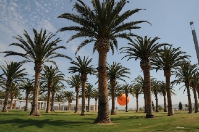 The Great Park in Irvine opens its new Palm Court Arts Complex and North Lawn this Saturday.  They are part of the first phase of construction in the park