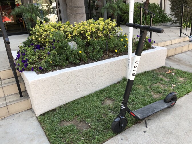 The popular company "Bird" has flocks of e-scooters like this one all over West LA.