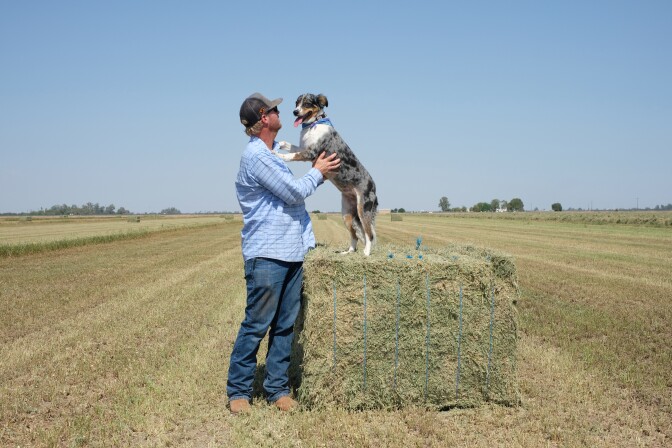 A white man with a trucker hat, light blue plaid shirt and jeans stands in an alfalfa field under a blue sky next to a rectangular hay bale. He scratches his Australian Shepherd mix dog that stands on top of the bale with its paws on his chest. 