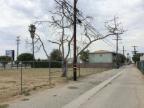 Over 20 years, the city of Los Angeles bought and razed Manchester Square homes, creating a patchwork of empty lots.