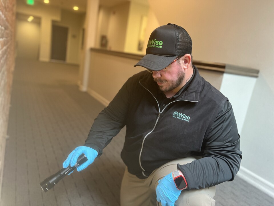 A man wearing khaki pants, black zip-up jacket, a black baseball cap, and bright-blue latex gloves is holding a black flashlight and is crouched down on one knee in an interior hallway. He's pointing the flashlight towards the ground. A green logo with the words "Wise Pest Control" can be seen on the baseball cap and jacket.