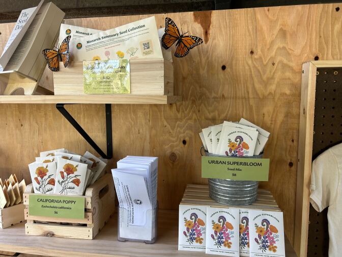 small envelopes with images of flowers on them sit on a shelf. The Seed packets are labeled for their different types including California Poppy, Urban Superbloom, and Monarch Sanctuary Seed Collection. 