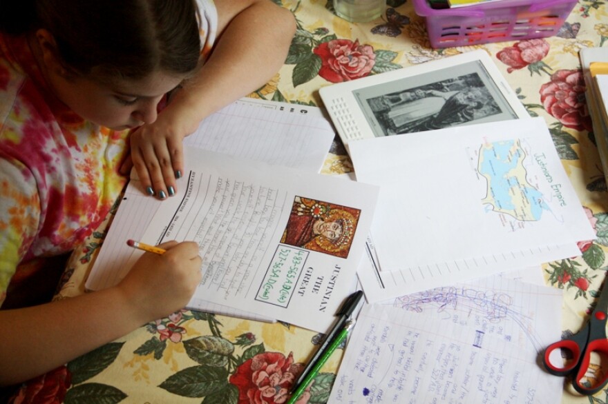 What makes homeschooling a good option for families?