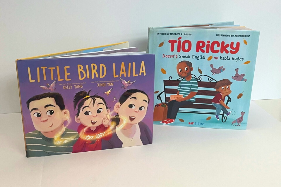 Two children's books sit on a desk. One says "Little Bird Laila" and has an illustration of three people with Asian features on it, two adults and a child. Another says "Tío Ricky" and has an illustration of two people with medium-dark skin tone sitting on a bench, an adult and a child.