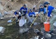 Seven people wearing blue long sleeve shirts and tan or green overalls are wading through a stream with their outstretched poles and nets moving through the water. 