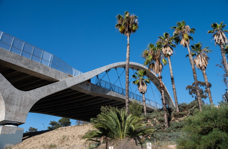 An upward view of the new 6th Street Viaduct alongside some palm trees.