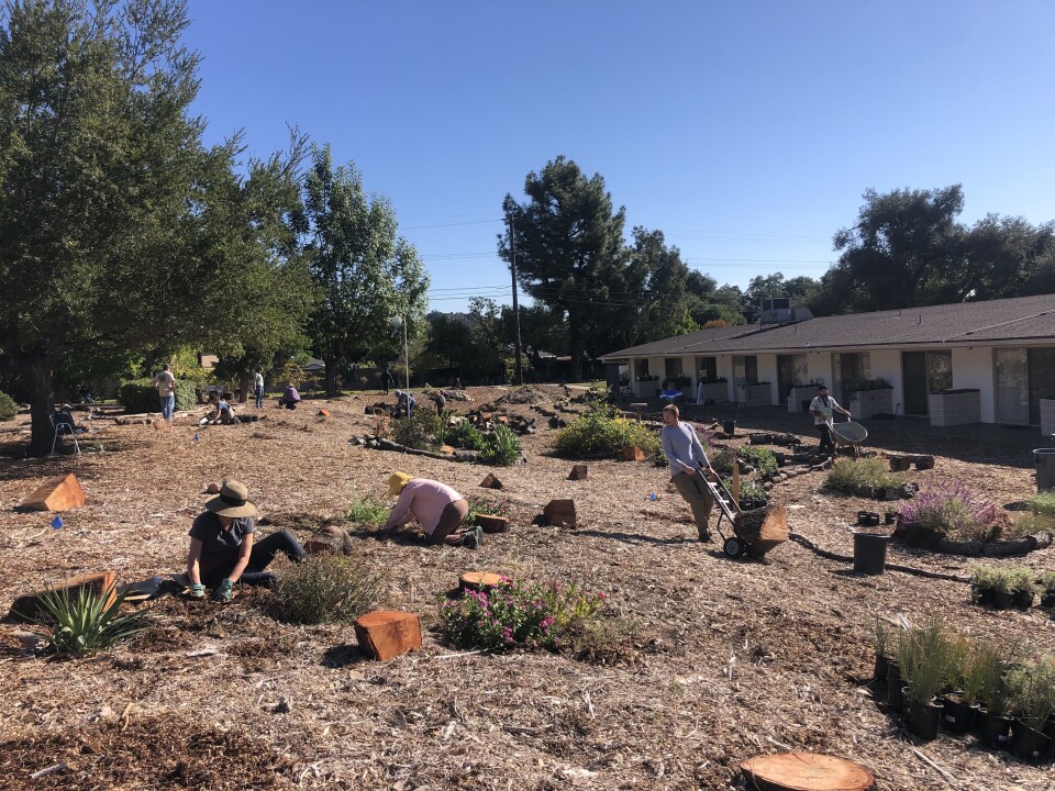 A wide shot shows a mulch-covered landscape with multiple people planting native California plants. A single-story white building is to the right and green trees are in the background. 