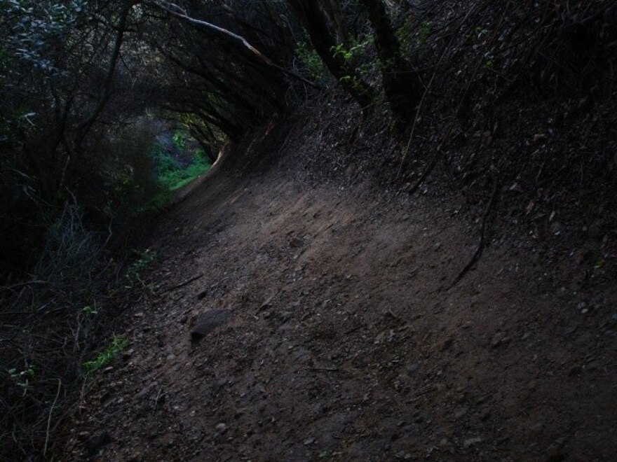 temescal-canyon.jpg