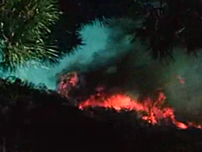 The fire seen through the trees in this scene from 'Design for Disaster.'