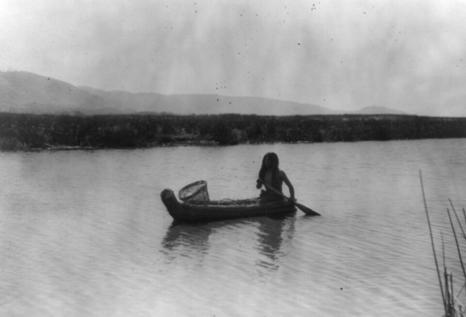 PAGE 105.Edward S. Curtis, "In the Tule Swamp--Upper Lake Pomo," photograph, 1924.Courtesy of Library of Congress, Prints & Photographs Division, Edward S. Curtis Collection, LC-USZC4-8920.