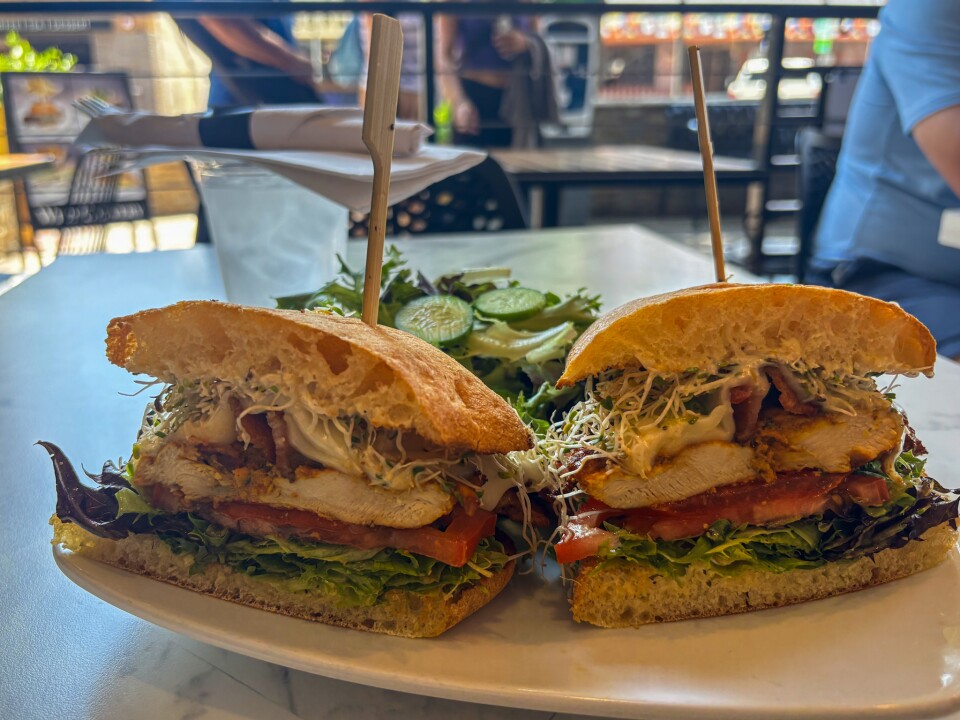 A halved chicken sandwich stacked with grilled chicken breast, crispy bacon, sliced tomato, leafy lettuce, melted cheese, and a generous handful of sprouts, all layered between thick slices of crusty bread. 