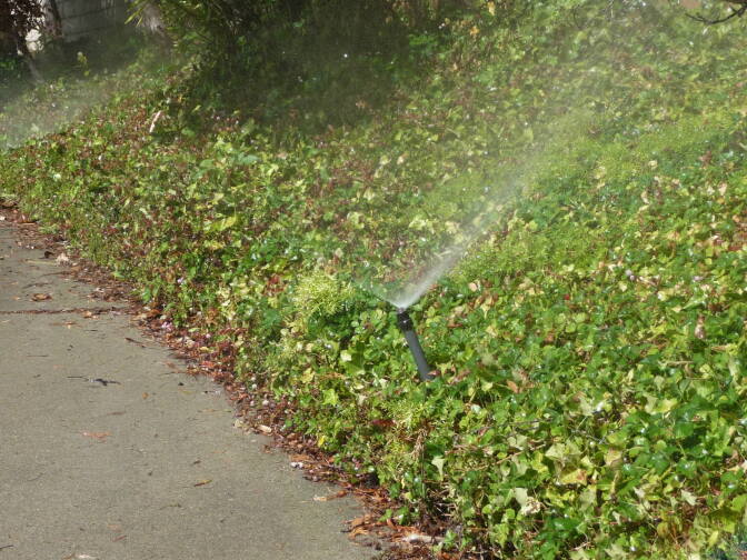 The City of LA's watering ordinance permits sprinklers before 9 A.M. and after 4 P.M., on alternating days for even and odd-numbered addresses. LADWP "water cop" Rick Silva says when he sees sprinklers that need adjustment, he sends homeowners a letter about them. 