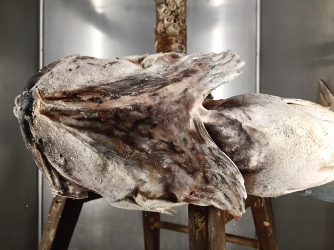 Adrián Villar Rojas: The Theater of Disappearance, at the Geffen Contemporary at MOCA through May 13, 2018