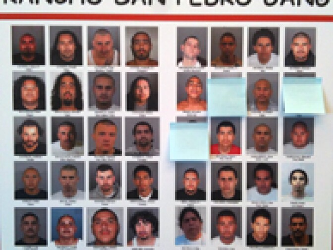 Members of the Rancho San Pedro gang arrested by LAPD and federal officers.