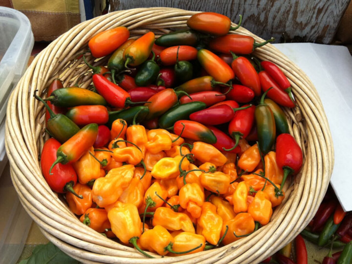 hp-jalapenos-habaneros.jpg