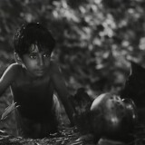 Still from the 1955 film "Pather Panchali"