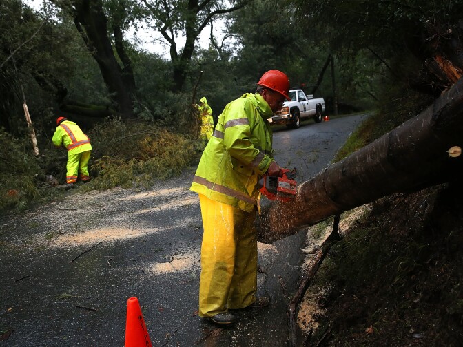 LARKSPUR, CA - DECEMBER 11: Department of Public Works crews clear a tree that came down across a road on December 11, 2014 in Larkspur, California. The San Francisco Bay Area is being hit with a severe storm that is bringing high winds and heavy rain that have toppled trees and caused local flooding.  (Photo by Justin Sullivan/Getty Images)
