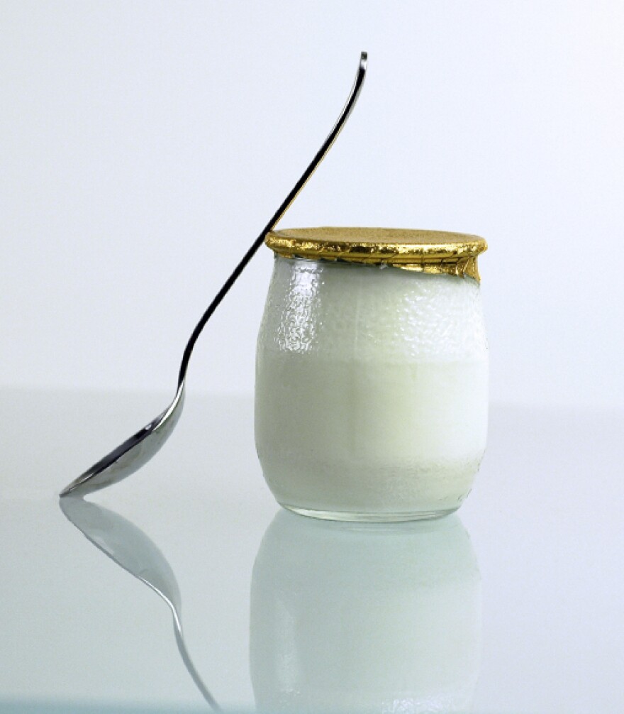 Yogurt is produced by the bacterial fermentation of milk. "Bacteria in our gut enable us to live," says author Sandor Katz. "We could not survive without bacteria."