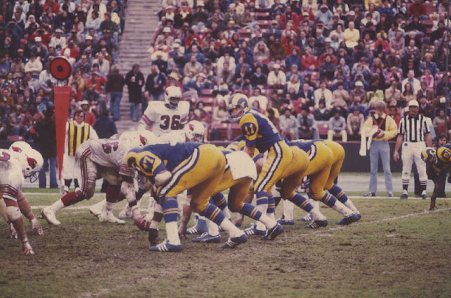 rams_cards.jpg