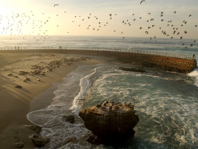 A file photo of the San Diego coastline.