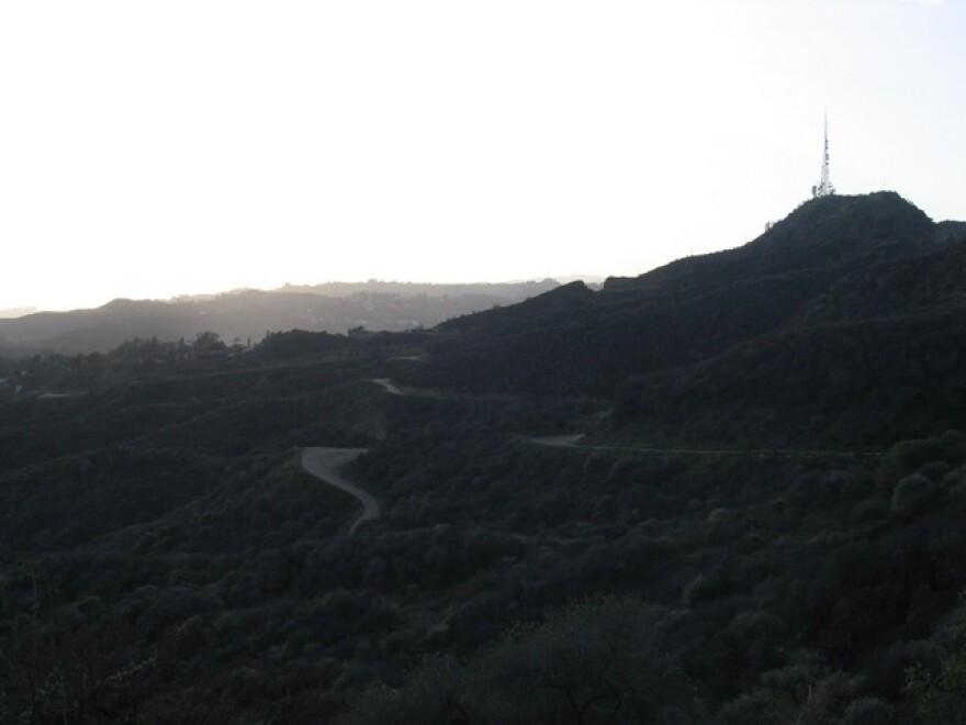 mount-hollywood-hike.jpg