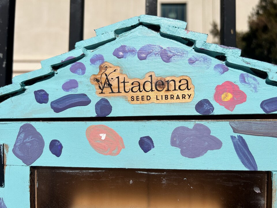A close-up of the top of a wooden box painted in mostly bright blue with accents of purple, navy and pink. There is paint deliberately missing from the top middle of the box to reveal the words "Altadena Seed Library" etched in black. 