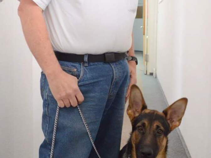Don Ray today, with his new service dog Fritz. Don served as a sentry dog handler in combat during the Vietnam War.