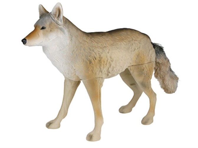 Image of a coyote decoy. 