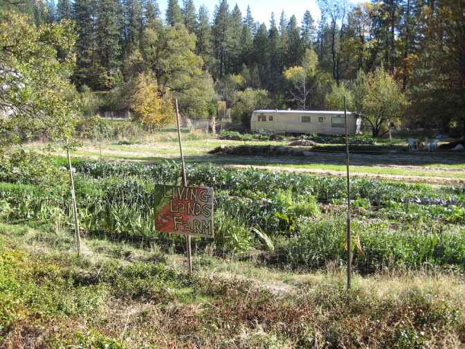 A local farm.