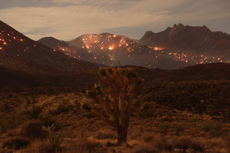 A hill burning in the distance.