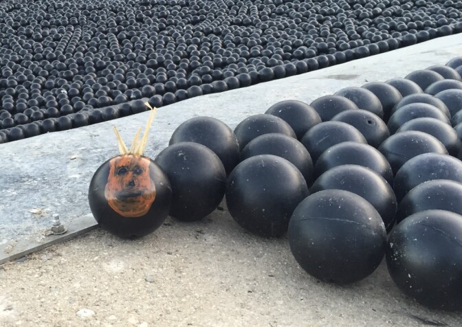 The "Wilson" shade ball at Reservoir #2, Las Virgenes Municipal Water District.