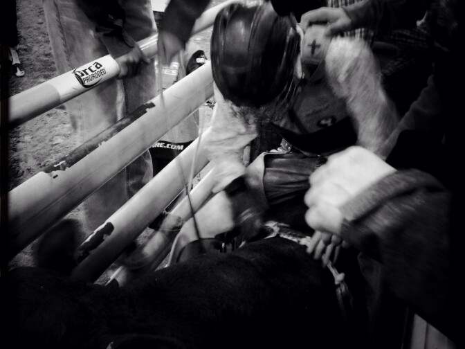 An unknown bull rider in the junior category mounts the bull in the chute.