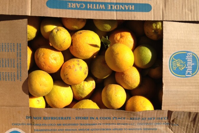 “We’ve seen extraordinary losses of all perishable commodities, which rot in the port,” said Tom Nassif, President and CEO of the trade group, Western Growers.