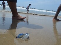 The number of jellyfish on the beach made their presence hard to ignore, though most beachgoers were not sure about what exactly the blueish things in the sand were.