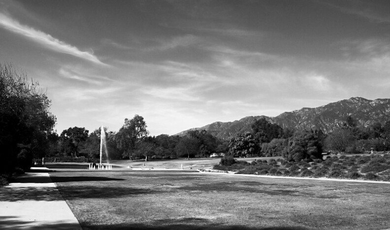 The L.A. Arboretum in Arcadia, Calif.