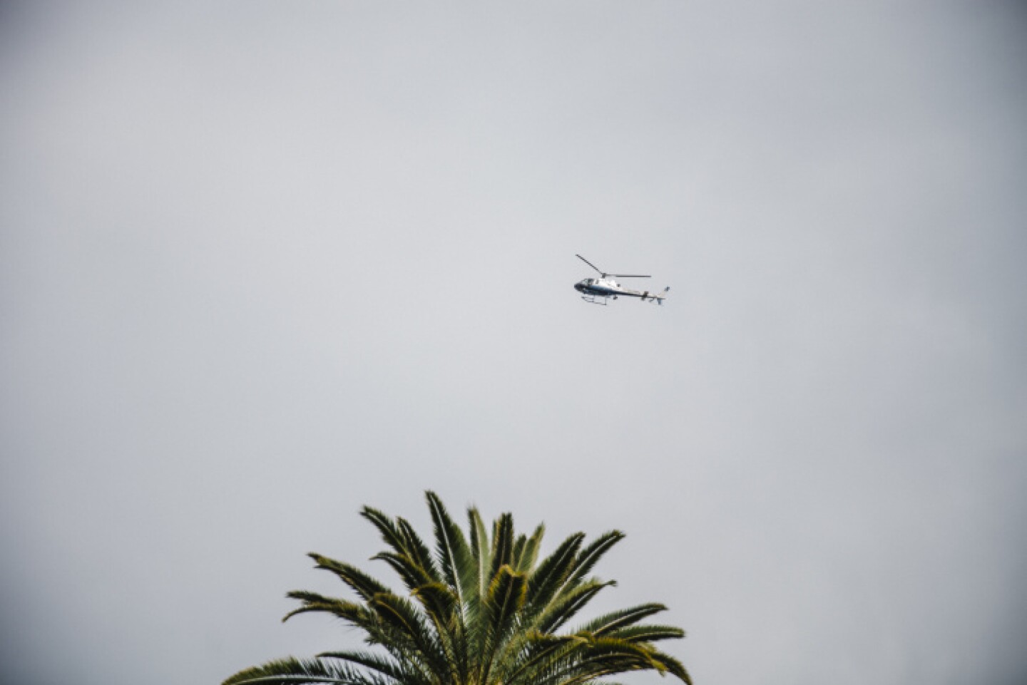 5ed849cf19aca1000d7e7345-eight.jpg
