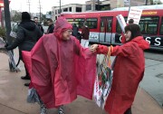 Teachers on strike at Taft High School in Woodland Hills pass out signs in the rain. 
